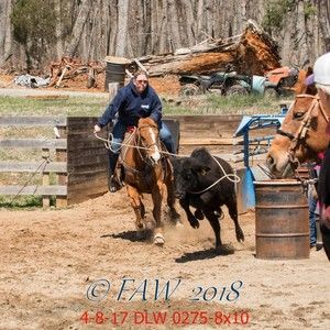 Meet your Posher, Brandy